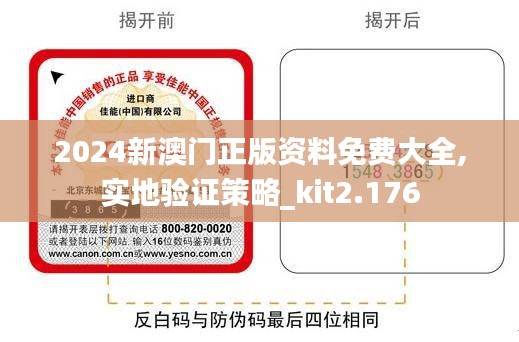 2024新澳门正版资料免费大全,实地验证策略_kit2.176