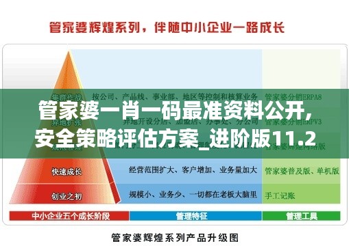 管家婆一肖一码最准资料公开,安全策略评估方案_进阶版11.265