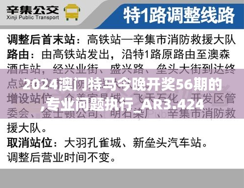 2024澳门特马今晚开奖56期的,专业问题执行_AR3.424