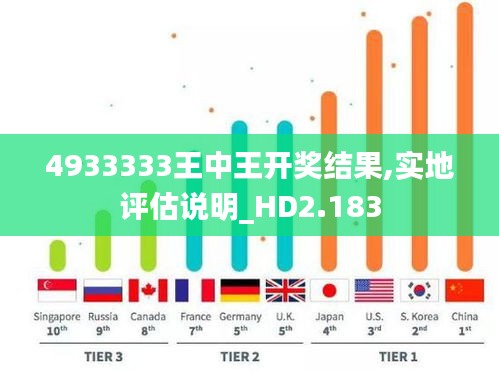 4933333王中王开奖结果,实地评估说明_HD2.183