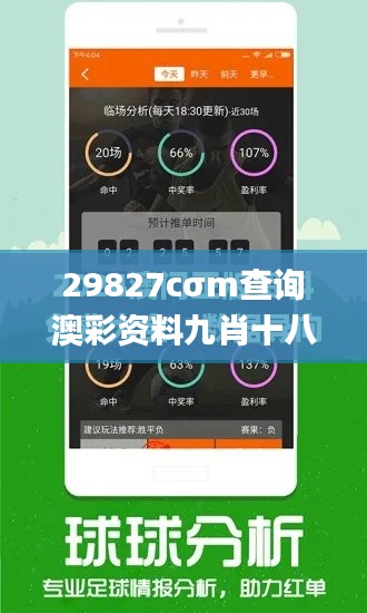 29827cσm查询澳彩资料九肖十八码,专业解答实行问题_专业款17.425