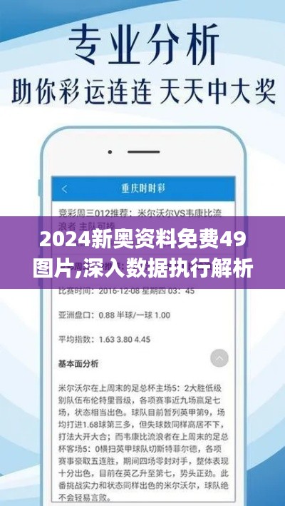 2024新奥资料免费49图片,深入数据执行解析_复刻版4.565