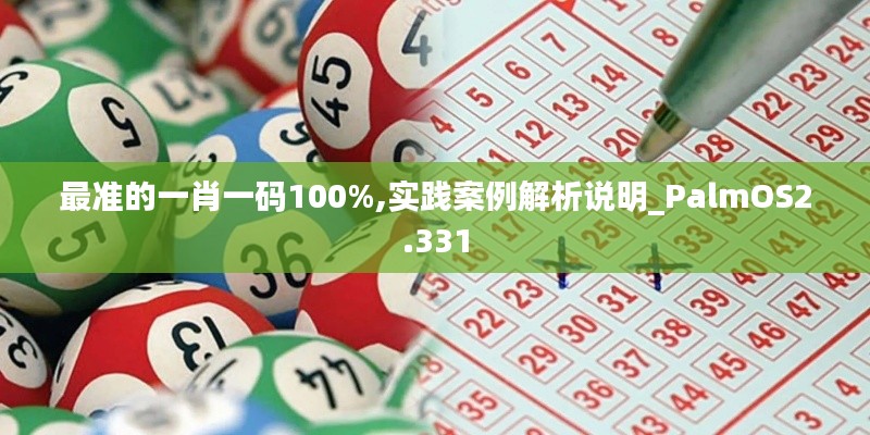 最准的一肖一码100%,实践案例解析说明_PalmOS2.331