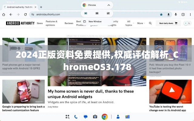 2024正版资料免费提供,权威评估解析_ChromeOS3.178