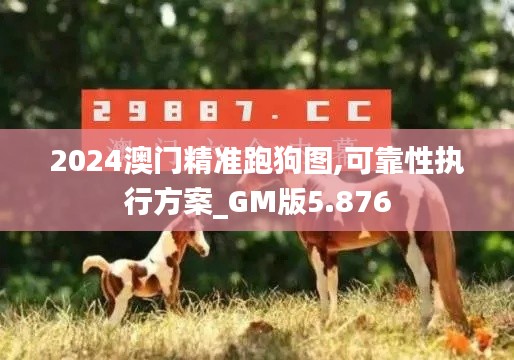 2024澳门精准跑狗图,可靠性执行方案_GM版5.876