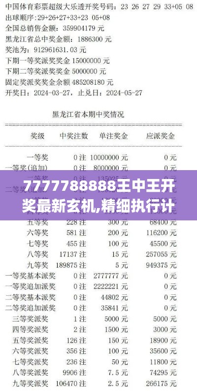 7777788888王中王开奖最新玄机,精细执行计划_精英款6.215