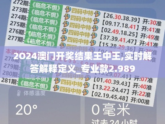 2O24澳门开奖结果王中王,实时解答解释定义_专业款2.989