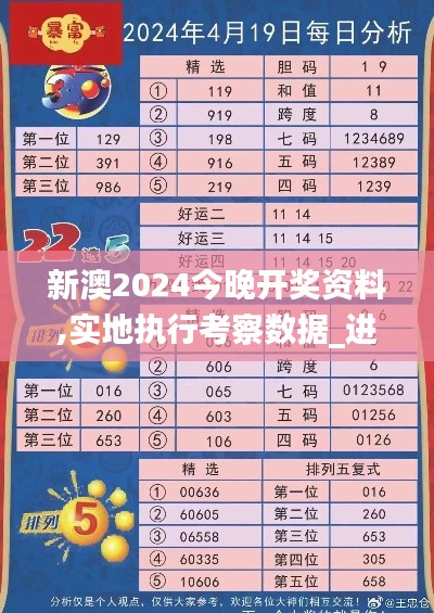 新澳2024今晚开奖资料,实地执行考察数据_进阶版110.234