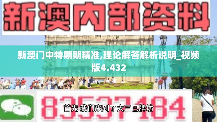 新澳门中特期期精准,理论解答解析说明_视频版4.432