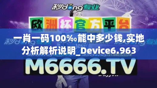 一肖一码100‰能中多少钱,实地分析解析说明_Device6.963