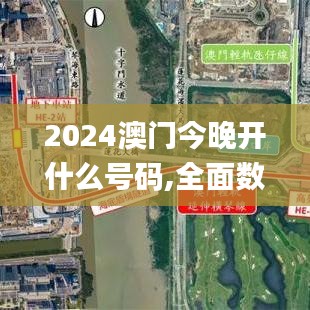 2024澳门今晚开什么号码,全面数据解析说明_6DM110.181