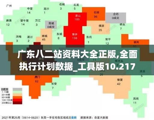 广东八二站资料大全正版,全面执行计划数据_工具版10.217