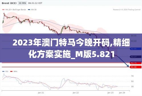 2023年澳门特马今晚开码,精细化方案实施_M版5.821