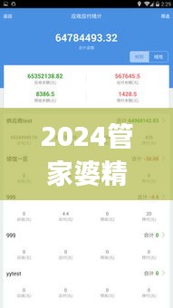 2024管家婆精准资料第三,实地验证分析_旗舰版8.845