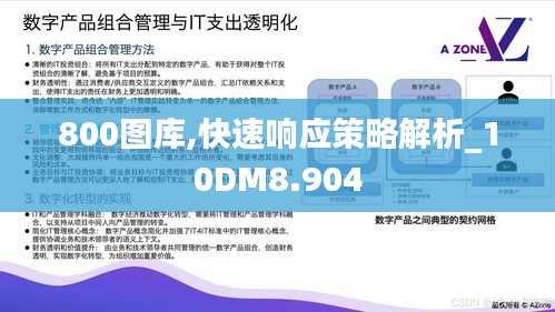 800图库,快速响应策略解析_10DM8.904