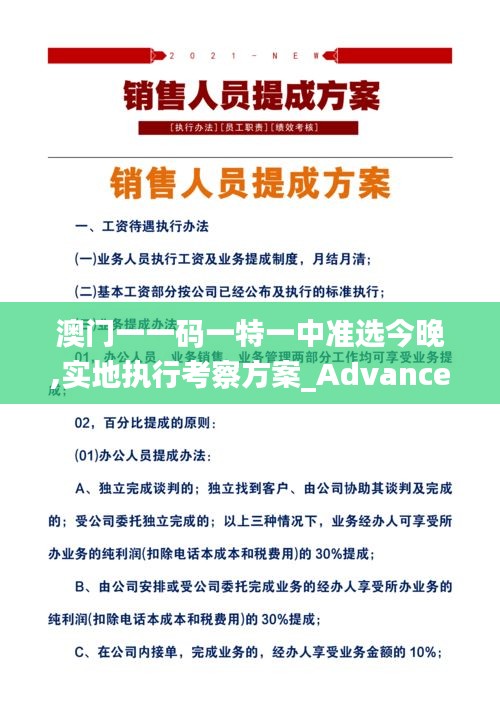 澳门一一码一特一中准选今晚,实地执行考察方案_Advanced2.491