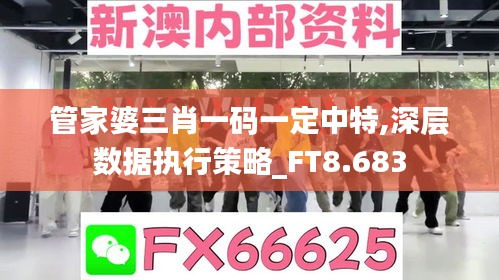 管家婆三肖一码一定中特,深层数据执行策略_FT8.683