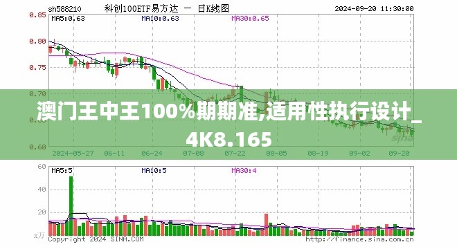 澳门王中王100%期期准,适用性执行设计_4K8.165