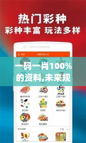 一码一肖100%的资料,未来规划解析说明_网页版10.377