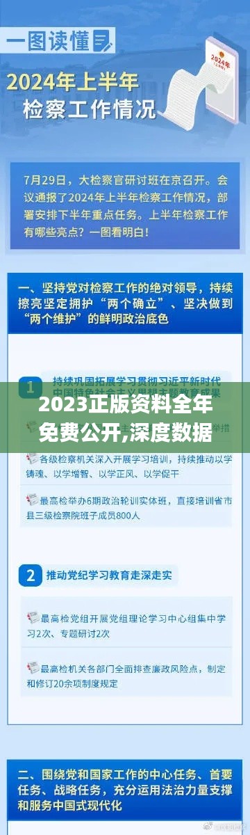 2023正版资料全年免费公开,深度数据解析应用_nShop2.709