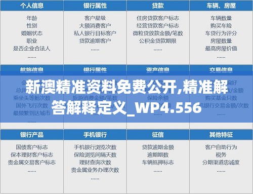 新澳精准资料免费公开,精准解答解释定义_WP4.556