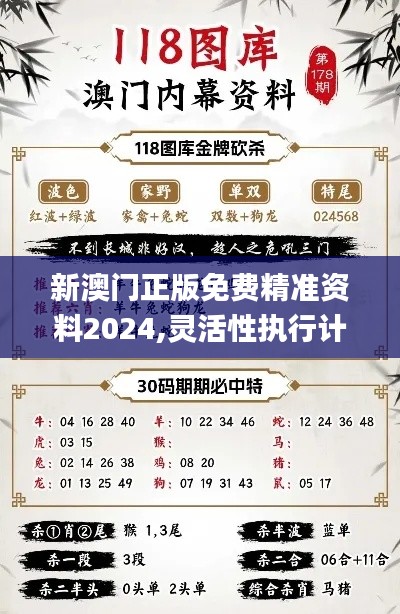 新澳门正版免费精准资料2024,灵活性执行计划_特供款6.552