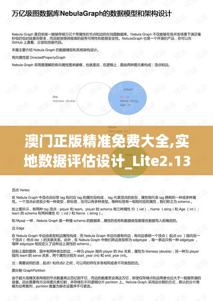 澳门正版精准免费大全,实地数据评估设计_Lite2.131