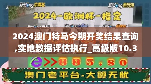 2024澳门特马今期开奖结果查询,实地数据评估执行_高级版10.370