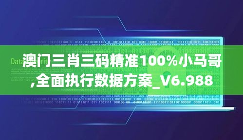 澳门三肖三码精准100%小马哥,全面执行数据方案_V6.988