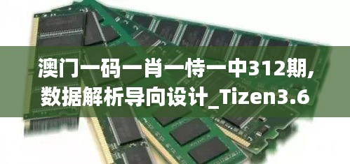 澳门一码一肖一恃一中312期,数据解析导向设计_Tizen3.615