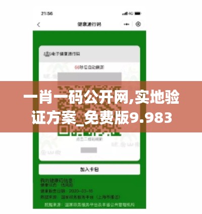 一肖一码公开网,实地验证方案_免费版9.983