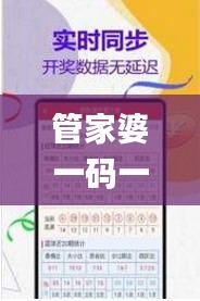 管家婆一码一肖100中奖,国产化作答解释定义_静态版11.274