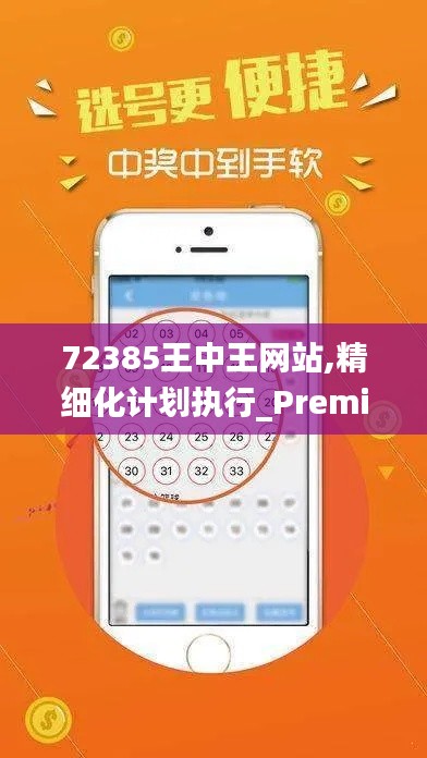 72385王中王网站,精细化计划执行_Premium1.776