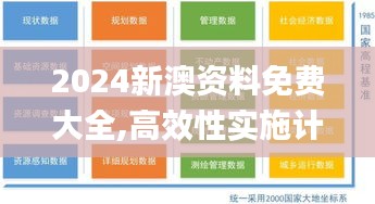 2024新澳资料免费大全,高效性实施计划解析_影像版6.584