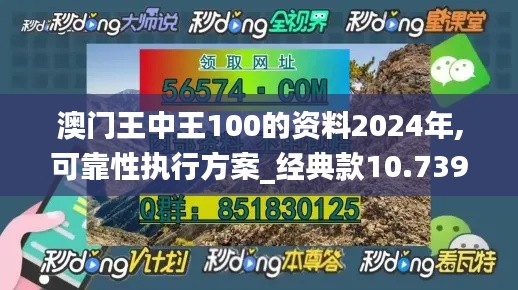 澳门王中王100的资料2024年,可靠性执行方案_经典款10.739