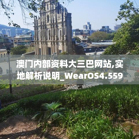 澳门内部资料大三巴网站,实地解析说明_WearOS4.559