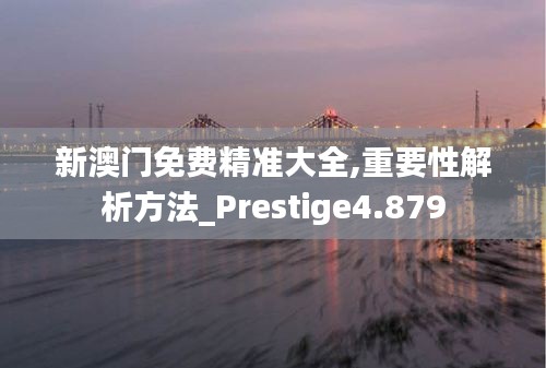 新澳门免费精准大全,重要性解析方法_Prestige4.879