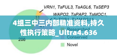 4组三中三内部精准资料,持久性执行策略_Ultra4.636