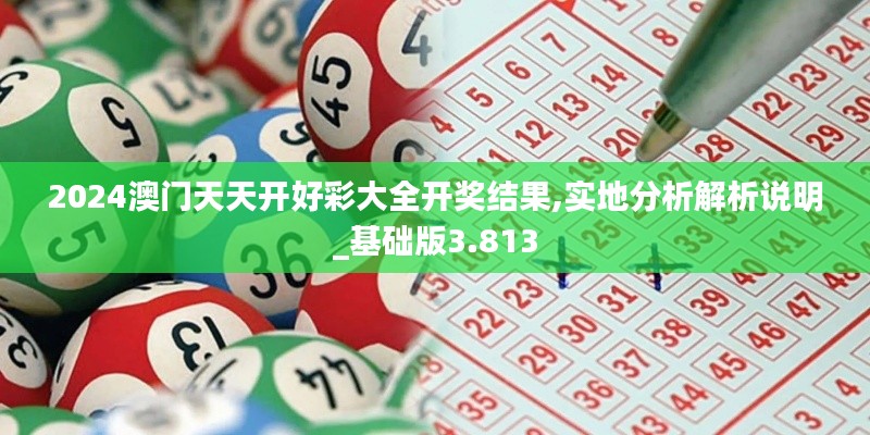 2024澳门天天开好彩大全开奖结果,实地分析解析说明_基础版3.813