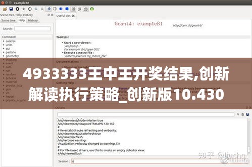 4933333王中王开奖结果,创新解读执行策略_创新版10.430