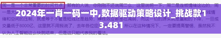 2024年一肖一码一中,数据驱动策略设计_挑战款13.481