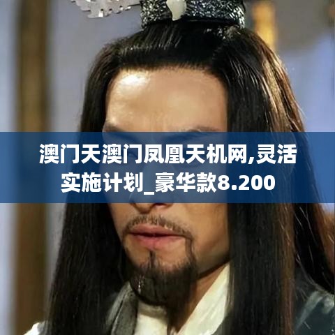 澳门天澳门凤凰天机网,灵活实施计划_豪华款8.200