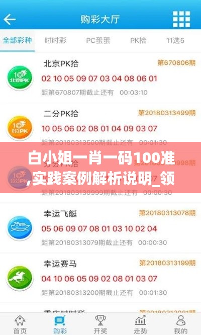 白小姐一肖一码100准,实践案例解析说明_领航款5.589