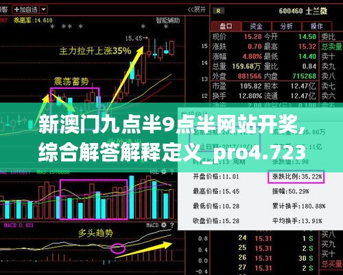 新澳门九点半9点半网站开奖,综合解答解释定义_pro4.723