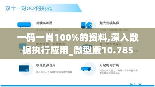 一码一肖100%的资料,深入数据执行应用_微型版10.785