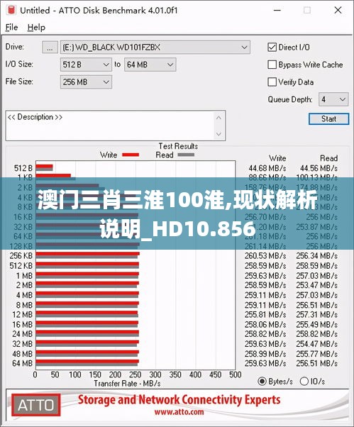 澳门三肖三淮100淮,现状解析说明_HD10.856