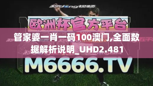 管家婆一肖一码100澳门,全面数据解析说明_UHD2.481