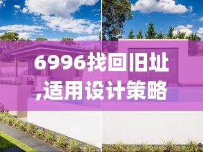 6996找回旧址,适用设计策略_LT3.158