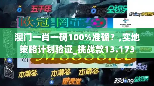 澳门一肖一码100%准确？,实地策略计划验证_挑战款13.173