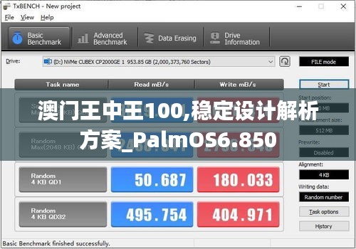 澳门王中王100,稳定设计解析方案_PalmOS6.850